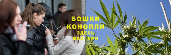 стафф Новокубанск