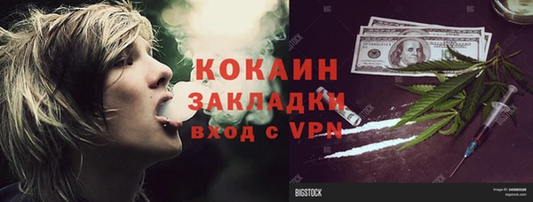 шишки Абдулино