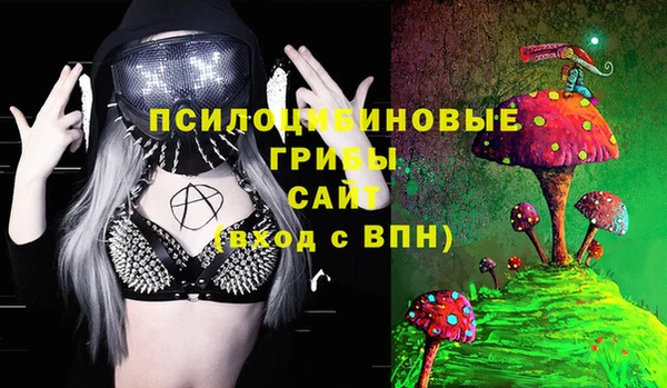 стафф Абинск