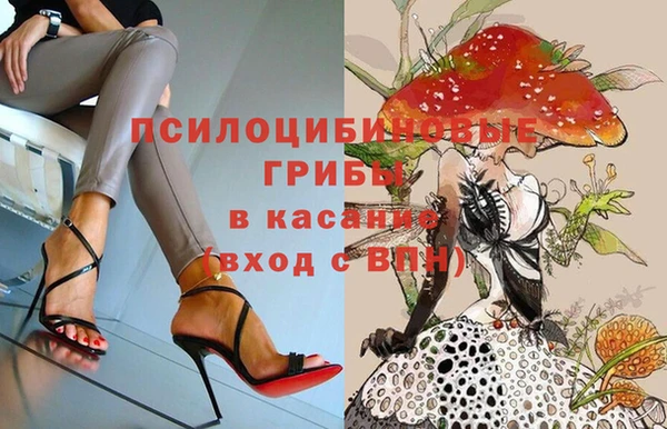 бошки Алексеевка