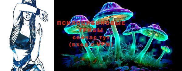 стафф Абинск