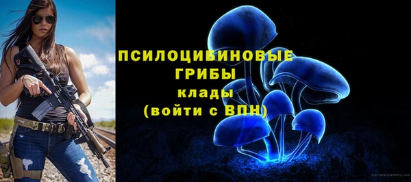 стафф Абинск