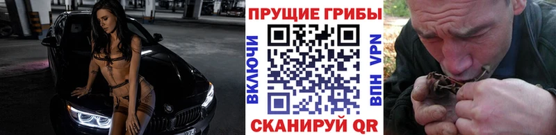 Псилоцибиновые грибы прущие грибы  Советская Гавань 